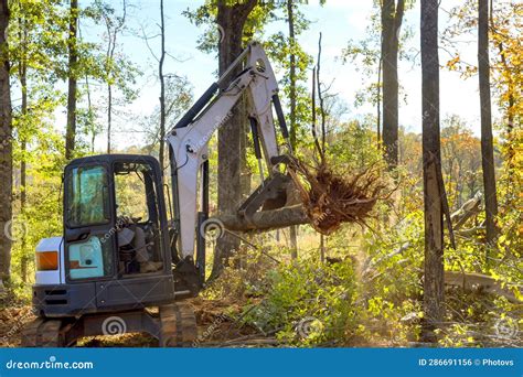 skid steer clearing land in desert|skid steer for clearing trees.